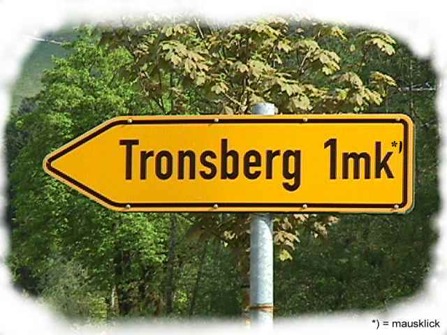 Wegweiser nach Tronsberg - eigentlich ein kleiner Weiler in der Nähe von Oberstaufen/Allg.